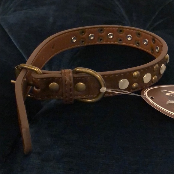 NWT $29 Hip Doggie Faux Pearl Stone Stud Collar M - Picture 5 of 8